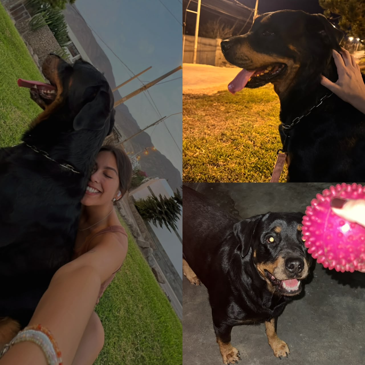 Maia jugando con su pelota