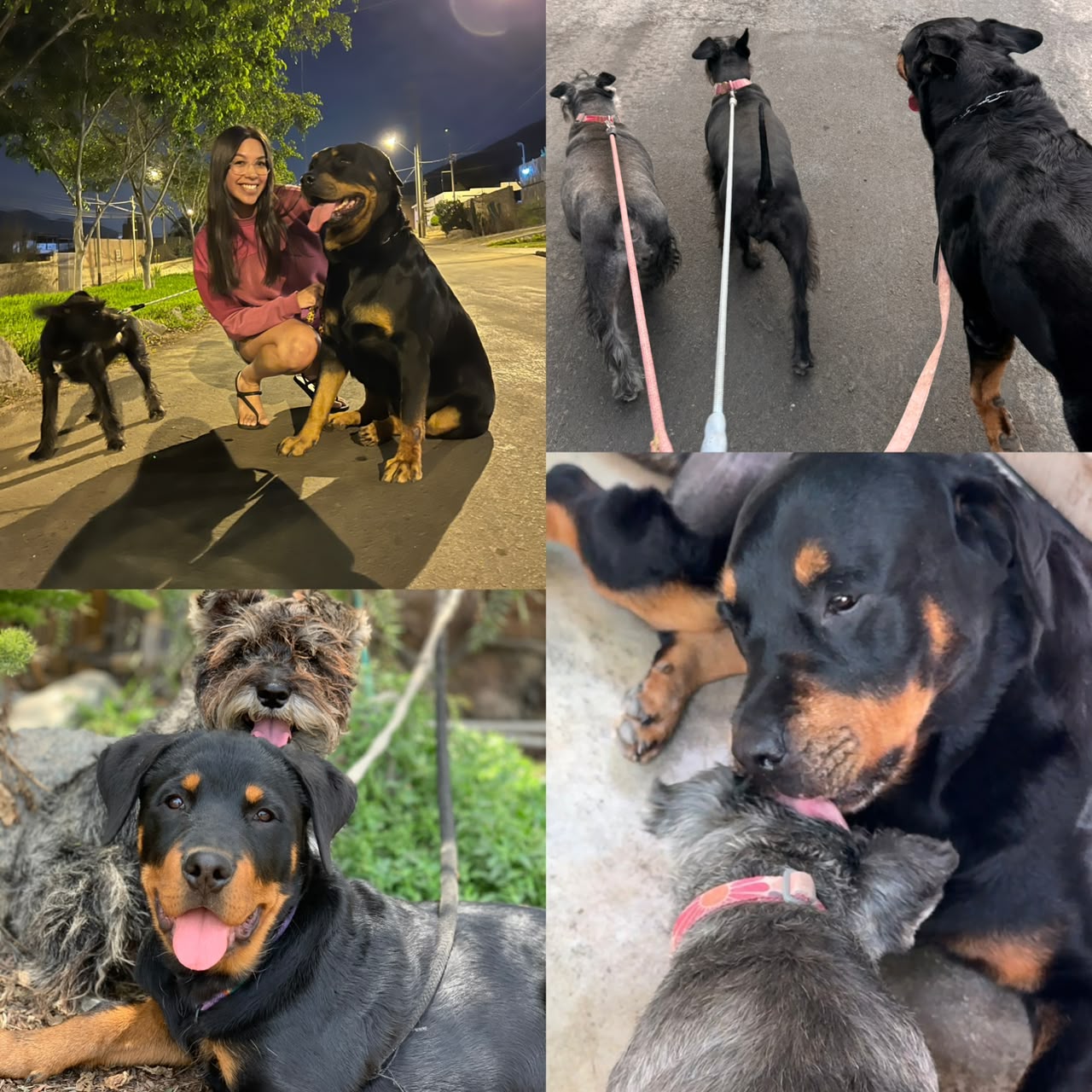 Maia con Pepa y Tami